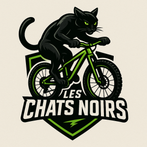 LES CHATS NOIRS